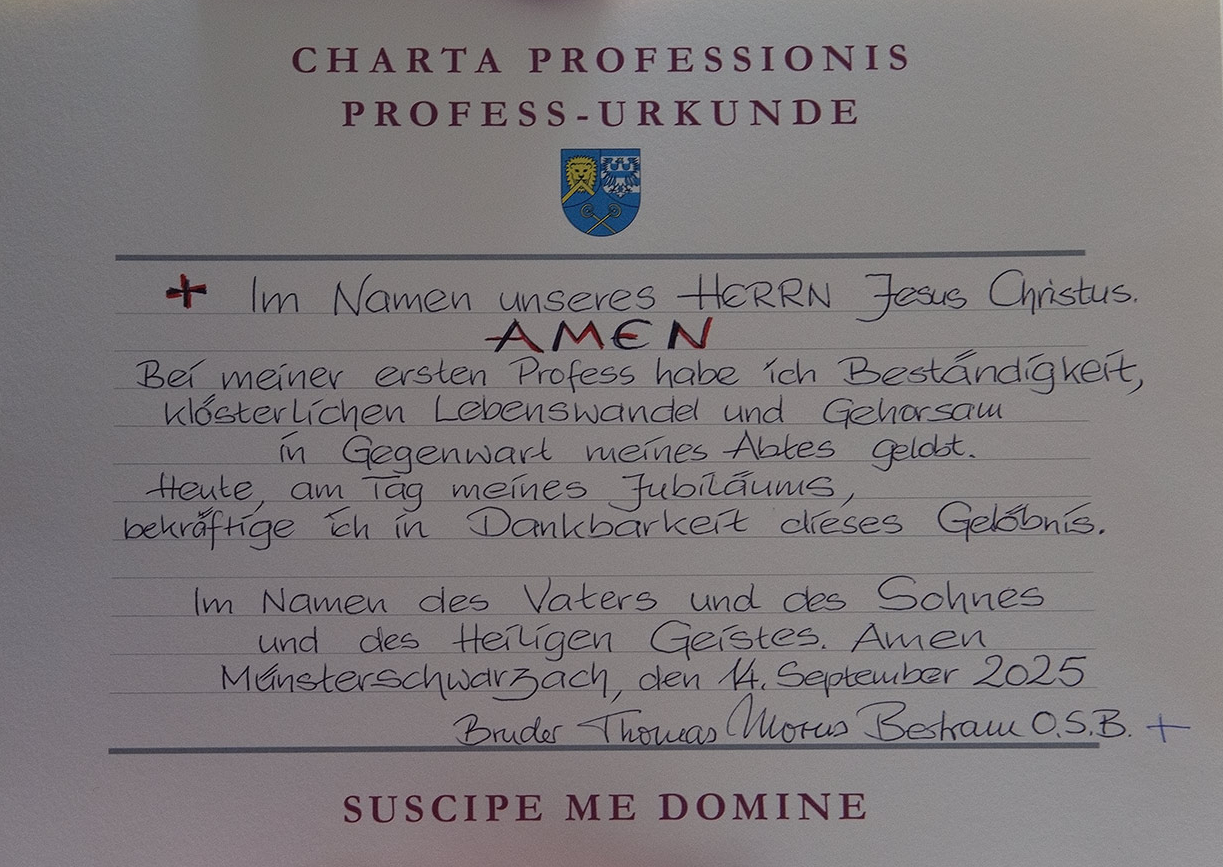 Kirchweihfest und Jubiläen 2025, Professurkunde