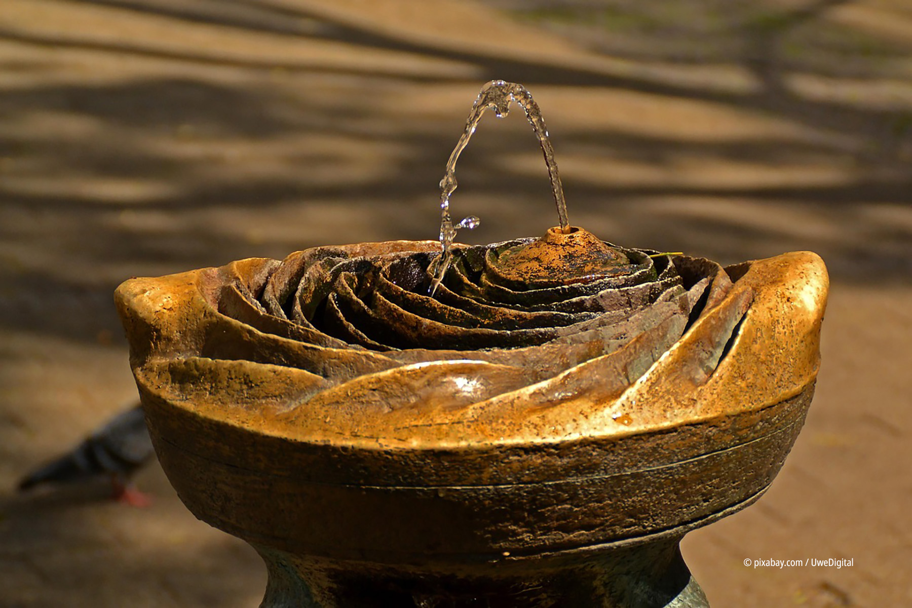 Der Brunnen im Herzen: Predigt von P. Fidelis Ruppert